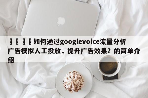 💡如何通过googlevoice流量分析广告模拟人工投放,提升广告效果?的简单介绍