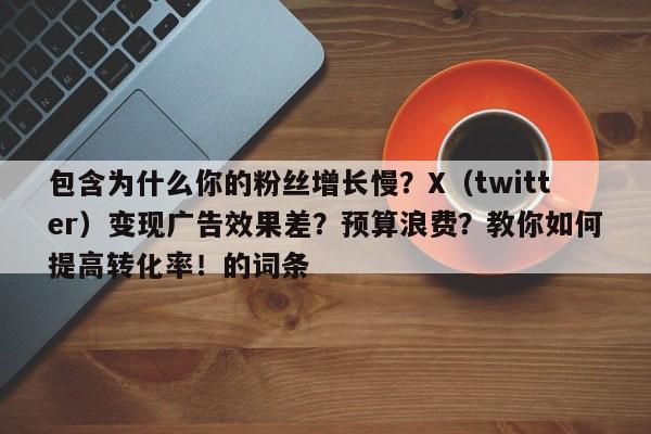包含为什么你的粉丝增长慢?X(twitter)变现广告效果差?预算浪费?教你如何提高转化率!的词条