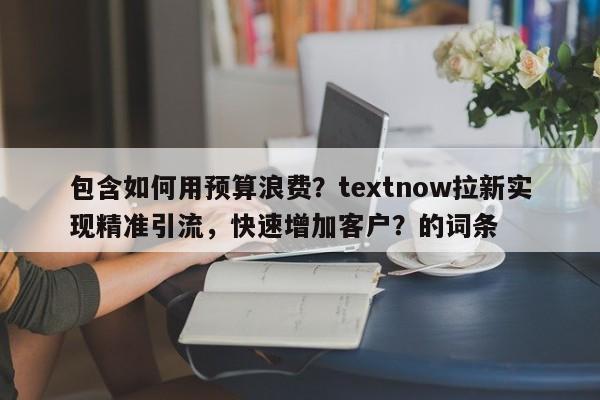 包含如何用预算浪费？textnow拉新实现精准引流，快速增加客户？的词条