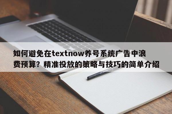 如何避免在textnow养号系统广告中浪费预算？精准投放的策略与技巧的简单介绍