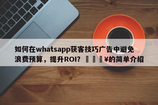 如何在whatsapp获客技巧广告中避免浪费预算，提升ROI？🔥的简单介绍