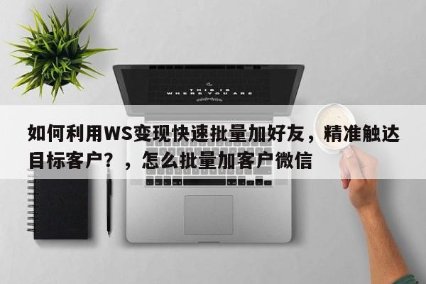 如何利用WS变现快速批量加好友，精准触达目标客户？，怎么批量加客户微信