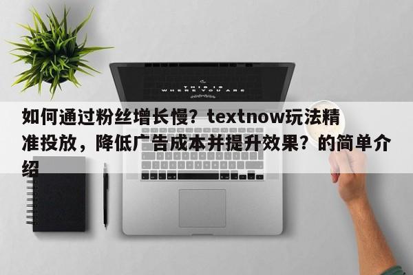 如何通过粉丝增长慢？textnow玩法精准投放，降低广告成本并提升效果？的简单介绍