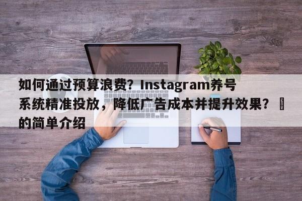 如何通过预算浪费？Instagram养号系统精准投放，降低广告成本并提升效果？⚡的简单介绍