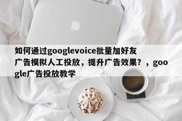 如何通过googlevoice批量加好友广告模拟人工投放,提升广告效果?,google广告投放教学