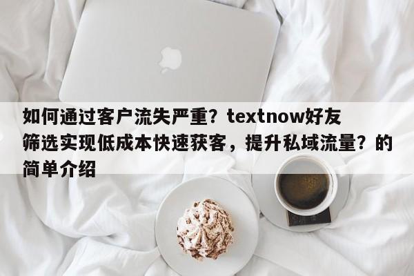 如何通过客户流失严重？textnow好友筛选实现低成本快速获客，提升私域流量？的简单介绍