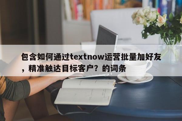包含如何通过textnow运营批量加好友，精准触达目标客户？的词条