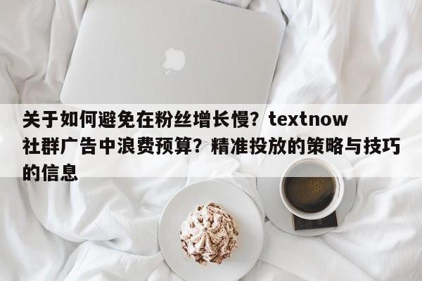 关于如何避免在粉丝增长慢？textnow社群广告中浪费预算？精准投放的策略与技巧的信息