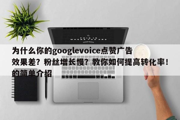 为什么你的googlevoice点赞广告效果差?粉丝增长慢?教你如何提高转化率!的简单介绍