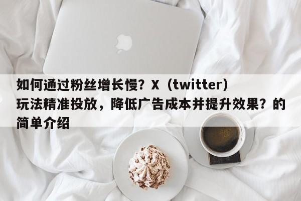 如何通过粉丝增长慢？X（twitter）玩法精准投放，降低广告成本并提升效果？的简单介绍