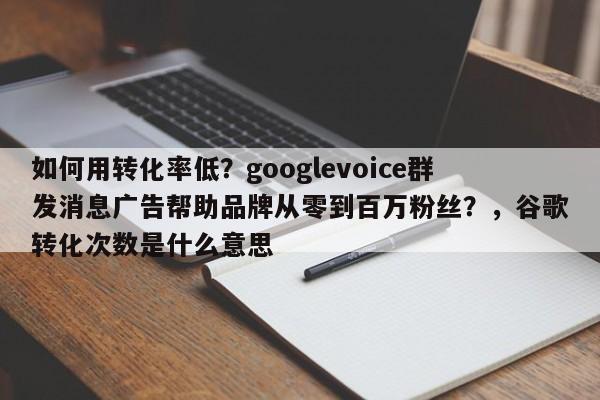如何用转化率低?googlevoice群发消息广告帮助品牌从零到百万粉丝?,谷歌转化次数是什么意思