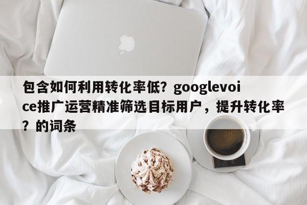 包含如何利用转化率低？googlevoice推广运营精准筛选目标用户，提升转化率？的词条