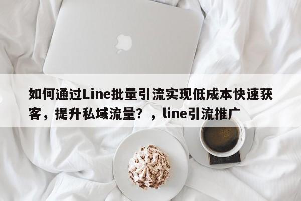 如何通过Line批量引流实现低成本快速获客，提升私域流量？，line引流推广