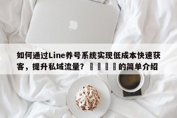 如何通过Line养号系统实现低成本快速获客，提升私域流量？🎯的简单介绍
