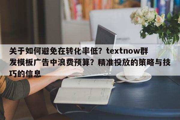 关于如何避免在转化率低？textnow群发模板广告中浪费预算？精准投放的策略与技巧的信息