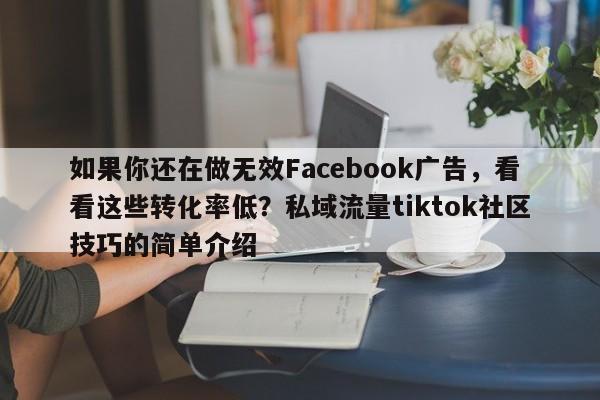 如果你还在做无效Facebook广告，看看这些转化率低？私域流量tiktok社区技巧的简单介绍