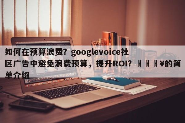 如何在预算浪费？googlevoice社区广告中避免浪费预算，提升ROI？🔥的简单介绍