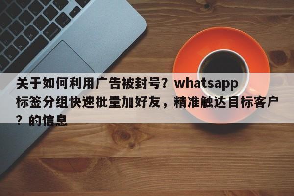 关于如何利用广告被封号？whatsapp标签分组快速批量加好友，精准触达目标客户？的信息