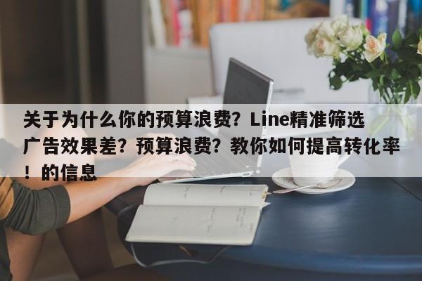 关于为什么你的预算浪费？Line精准筛选广告效果差？预算浪费？教你如何提高转化率！的信息
