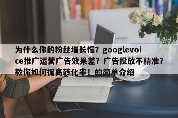 为什么你的粉丝增长慢?googlevoice推广运营广告效果差?广告投放不精准?教你如何提高转化率!的简单介绍