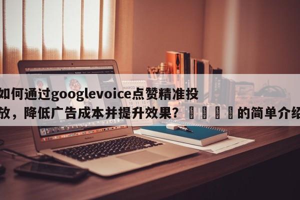 如何通过googlevoice点赞精准投放，降低广告成本并提升效果？💡的简单介绍