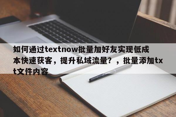 如何通过textnow批量加好友实现低成本快速获客，提升私域流量？，批量添加txt文件内容