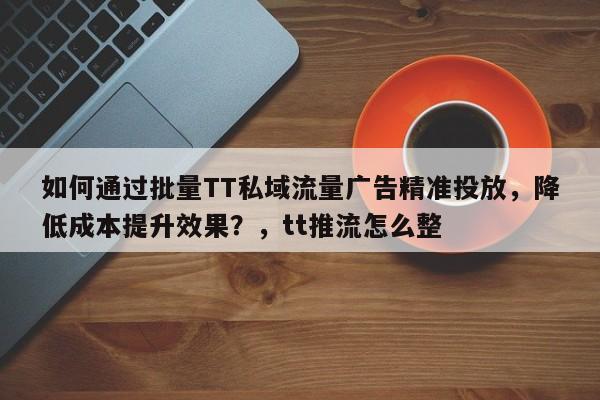如何通过批量TT私域流量广告精准投放，降低成本提升效果？，tt推流怎么整