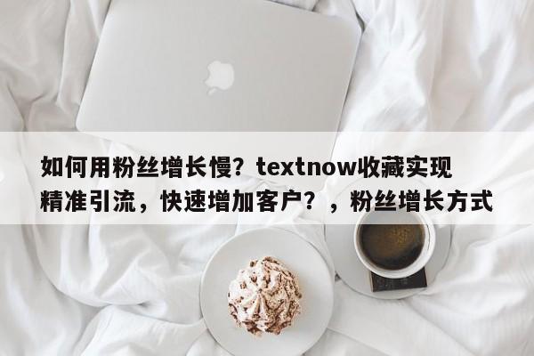 如何用粉丝增长慢？textnow收藏实现精准引流，快速增加客户？，粉丝增长方式
