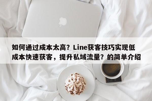 如何通过成本太高？Line获客技巧实现低成本快速获客，提升私域流量？的简单介绍