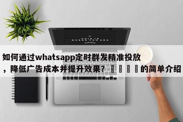 如何通过whatsapp定时群发精准投放，降低广告成本并提升效果？📌的简单介绍