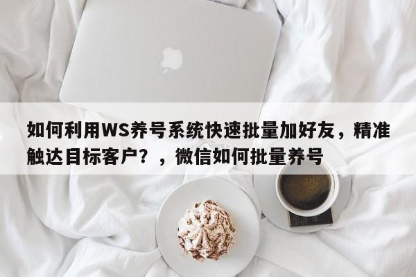 如何利用WS养号系统快速批量加好友，精准触达目标客户？，微信如何批量养号