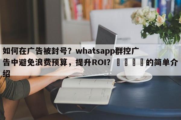 如何在广告被封号？whatsapp群控广告中避免浪费预算，提升ROI？📣的简单介绍