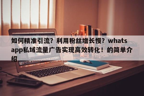 如何精准引流?利用粉丝增长慢?whatsapp私域流量广告实现高效转化!的简单介绍