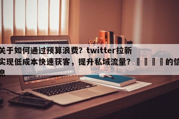关于如何通过预算浪费？twitter拉新实现低成本快速获客，提升私域流量？🎯的信息
