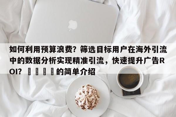 如何利用预算浪费？筛选目标用户在海外引流中的数据分析实现精准引流，快速提升广告ROI？📈的简单介绍