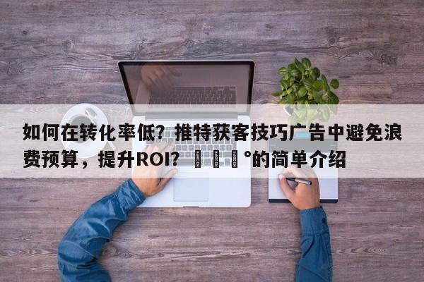 如何在转化率低？推特获客技巧广告中避免浪费预算，提升ROI？💰的简单介绍