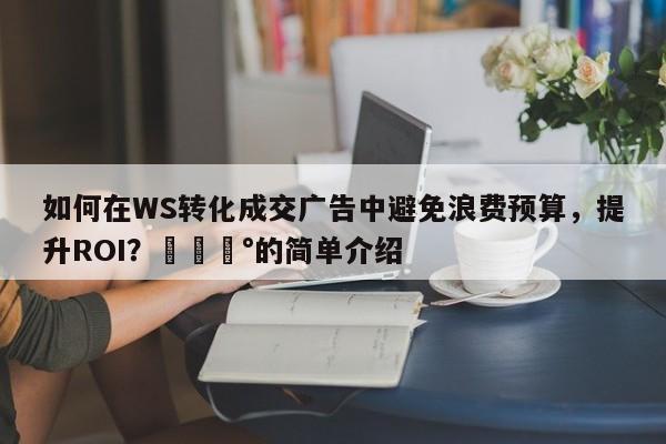 如何在WS转化成交广告中避免浪费预算，提升ROI？💰的简单介绍
