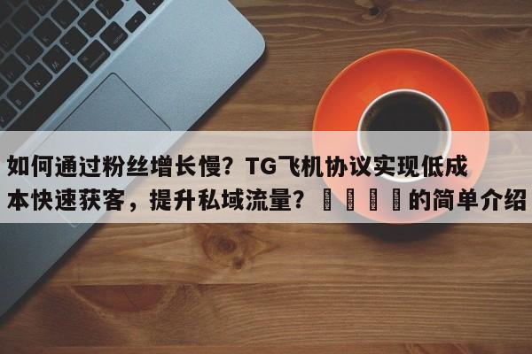 如何通过粉丝增长慢？TG飞机协议实现低成本快速获客，提升私域流量？📈的简单介绍