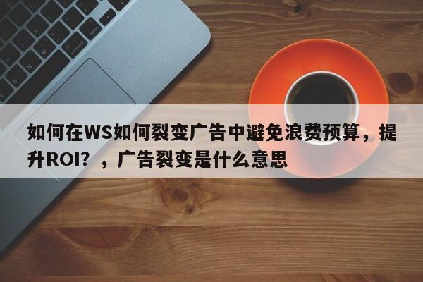 如何在WS如何裂变广告中避免浪费预算，提升ROI？，广告裂变是什么意思