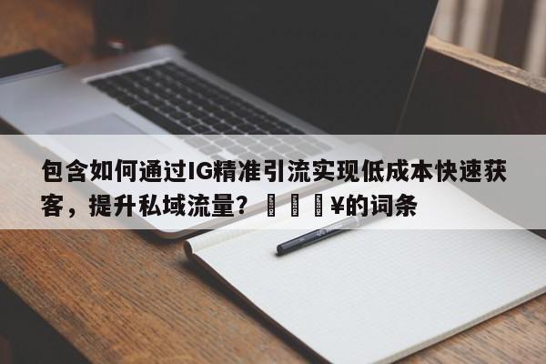 包含如何通过IG精准引流实现低成本快速获客，提升私域流量？🔥的词条