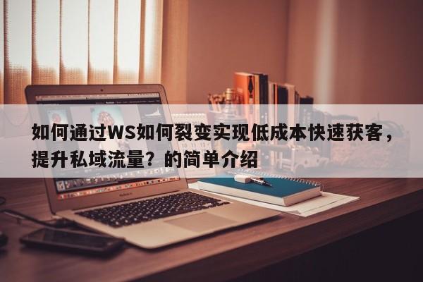 如何通过WS如何裂变实现低成本快速获客，提升私域流量？的简单介绍