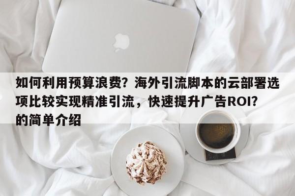 如何利用预算浪费？海外引流脚本的云部署选项比较实现精准引流，快速提升广告ROI？的简单介绍