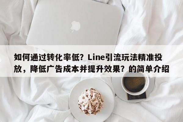 如何通过转化率低？Line引流玩法精准投放，降低广告成本并提升效果？的简单介绍