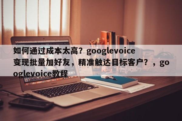 如何通过成本太高？googlevoice变现批量加好友，精准触达目标客户？，googlevoice教程