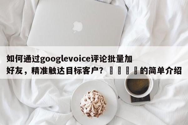 如何通过googlevoice评论批量加好友，精准触达目标客户？💡的简单介绍