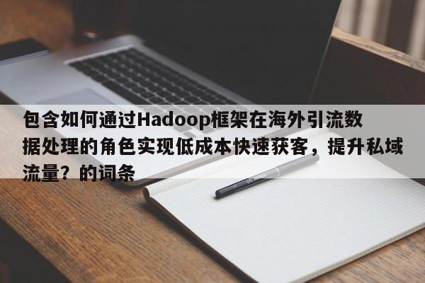 包含如何通过Hadoop框架在海外引流数据处理的角色实现低成本快速获客，提升私域流量？的词条