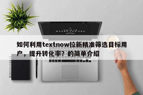 如何利用textnow拉新精准筛选目标用户，提升转化率？的简单介绍