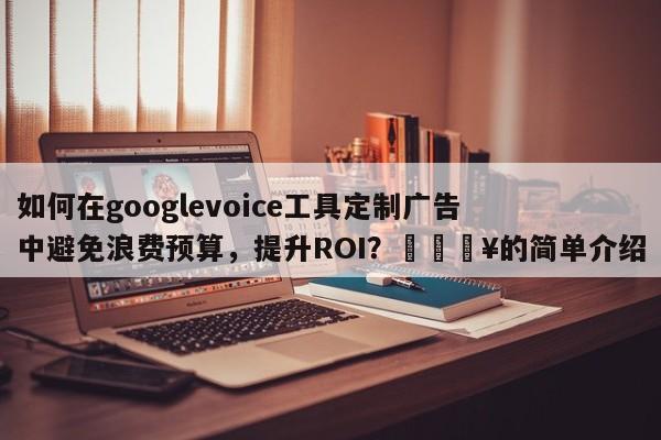 如何在googlevoice工具定制广告中避免浪费预算，提升ROI？🔥的简单介绍