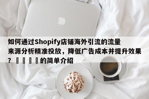 如何通过Shopify店铺海外引流的流量来源分析精准投放，降低广告成本并提升效果？💡的简单介绍