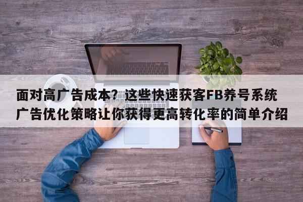面对高广告成本？这些快速获客FB养号系统广告优化策略让你获得更高转化率的简单介绍